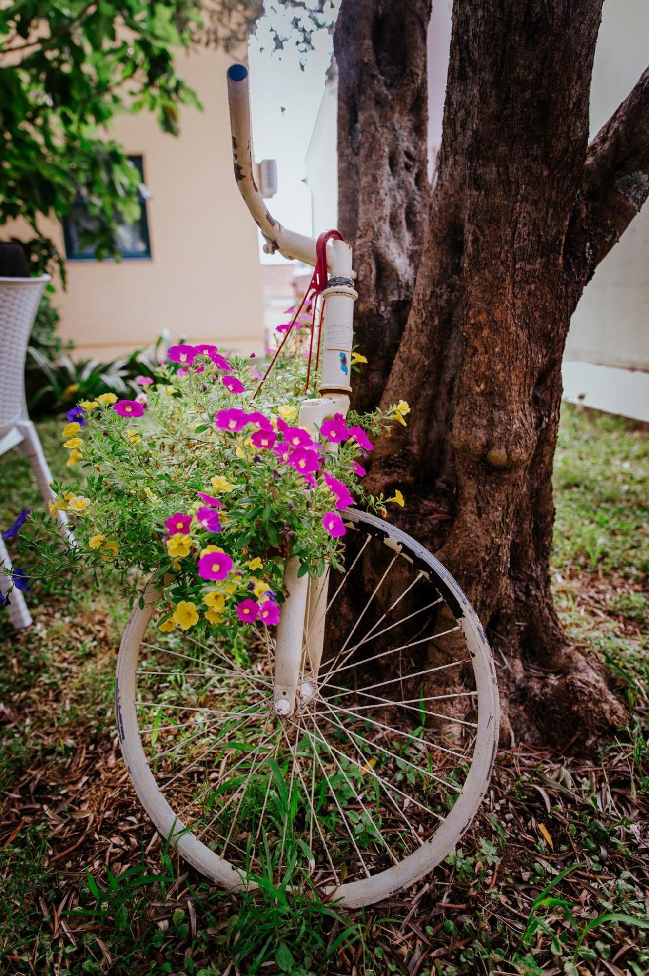 Apartments Andrea コトル 部屋 写真